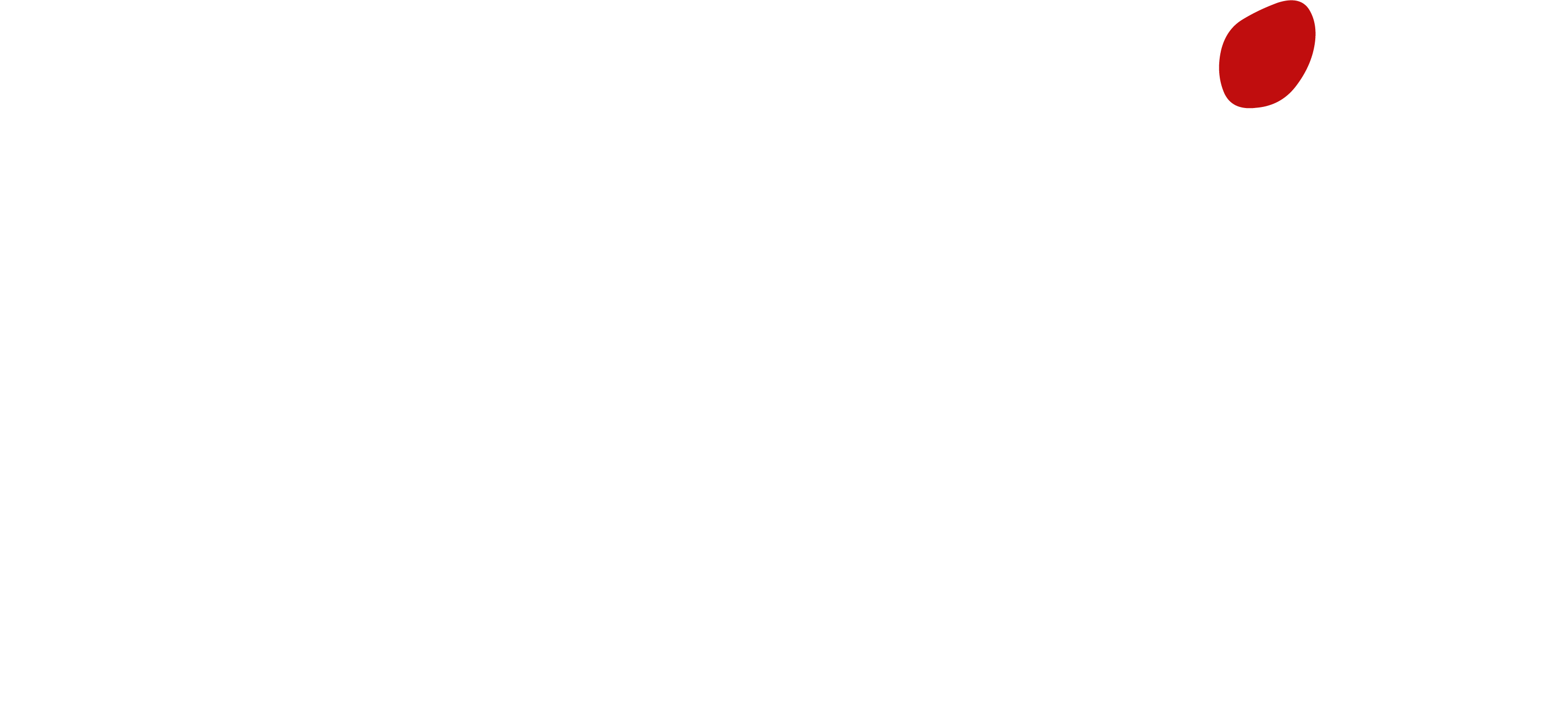 Festival KRAPOLDI